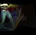 imagevine