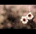 prayerwarriorsforchrist