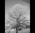 scottanderson1