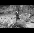 walkinwithjesus45