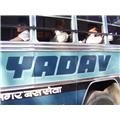 yadav