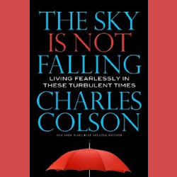 Book Spotlight: "The Sky Is Not Falling"