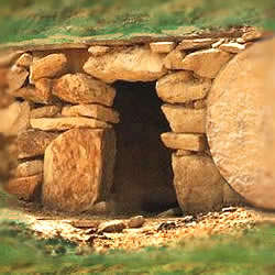 "Then Came the Morning" Devotional