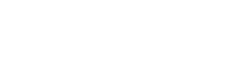 Salem Web Network