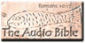 The Audio Bible