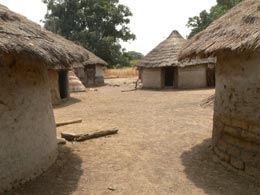 African French photo