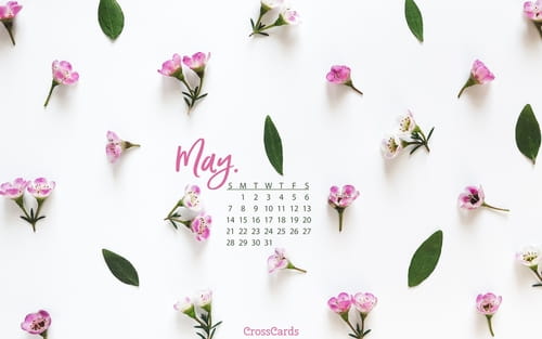 Beautiful May Desktop & Mobile Wallpaper - Free Backgrounds