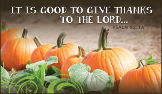 15218 give thanks pumpkins 2