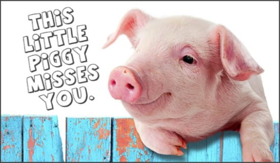 Free Piggy Misses You eCard - eMail Free Personalized Care ...