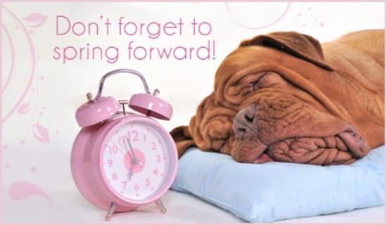 Spring Forward eCard - Free Daylight Saving Begins Cards Online