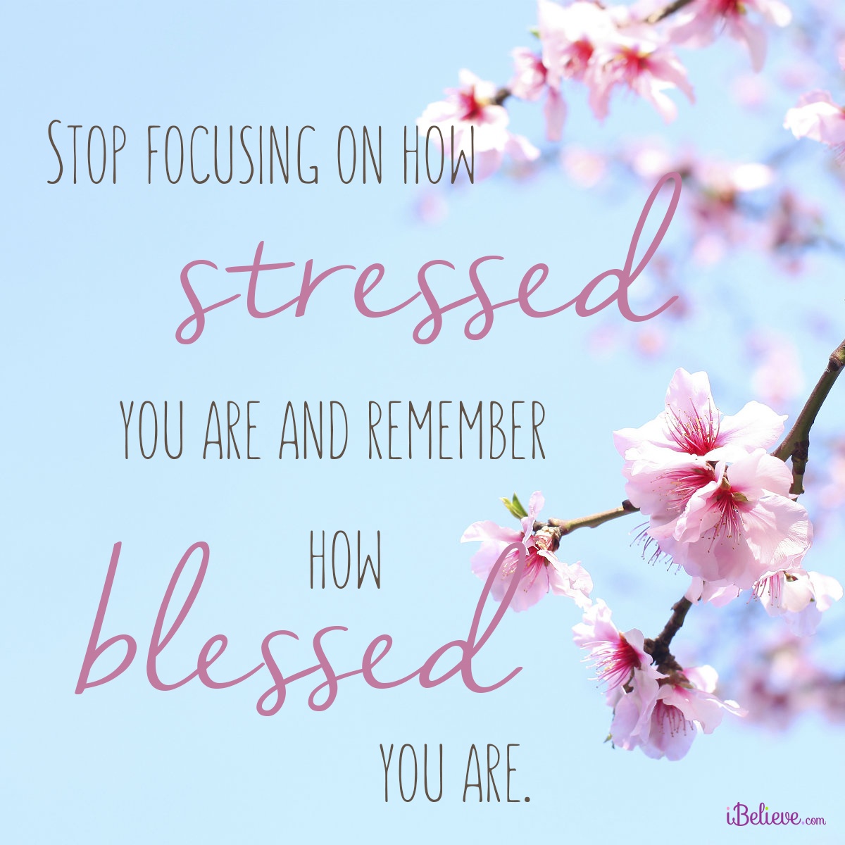 Stop Focusing on How Stressed You Are and Remember How Blessed You Are ...