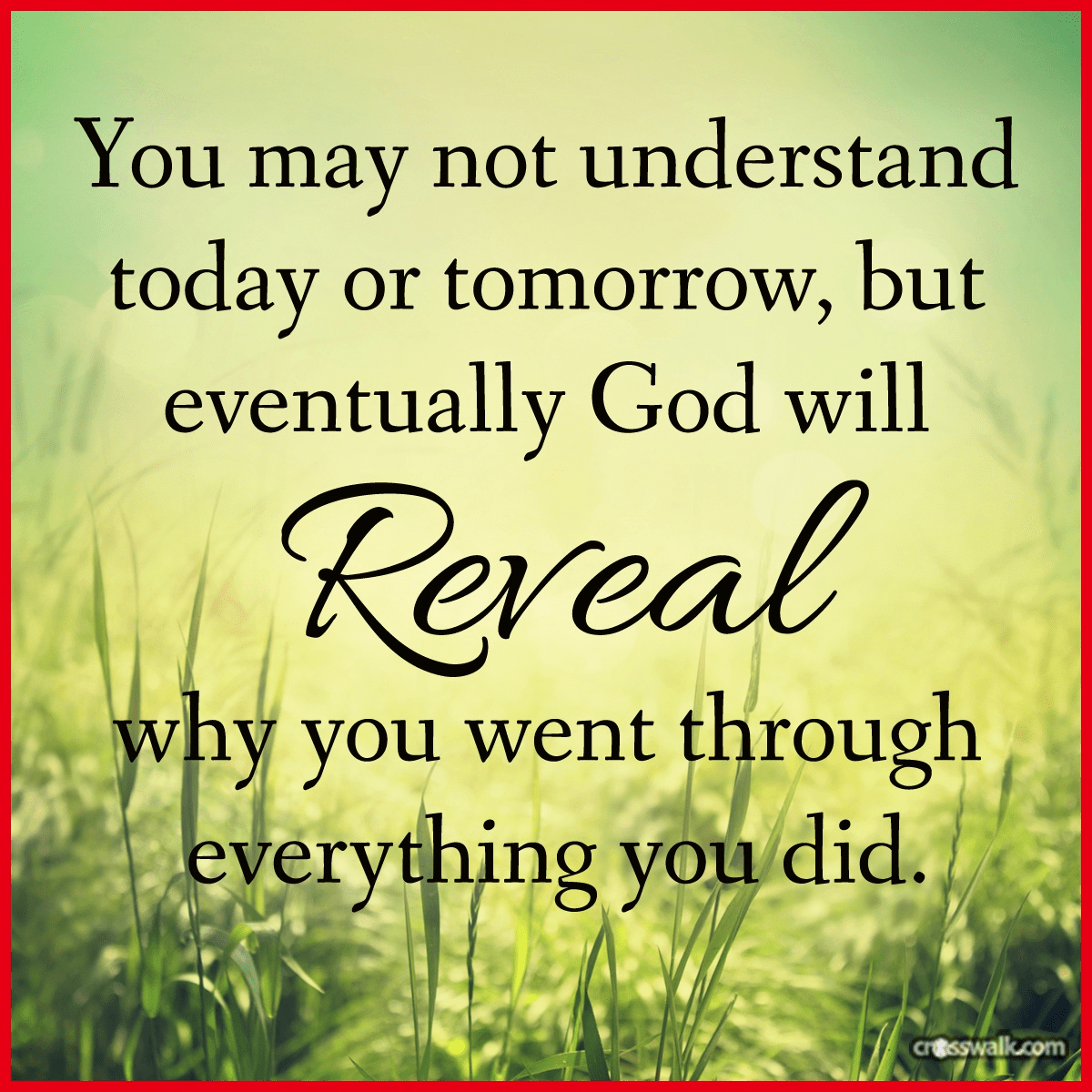 God Will Reveal - Your Daily Verse