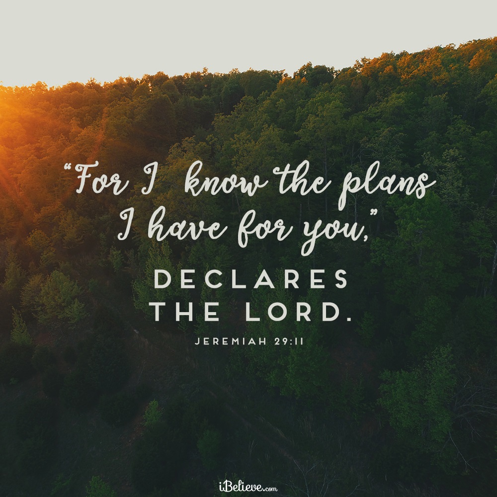 For I Know the Plans I Have for You Declares the Lord - Inspirations