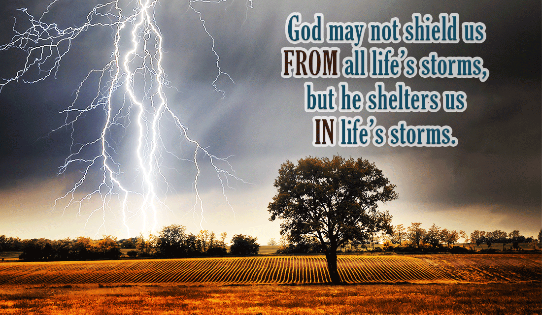 Shelter in Life's Storms eCard - Free Facebook eCards Greeting Cards Online