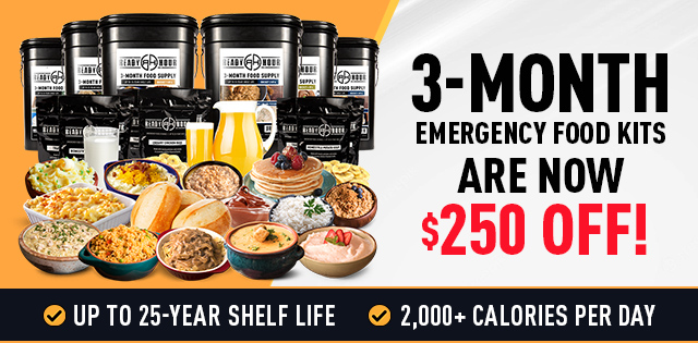 Save $250 on a 3-Month Food Kit!