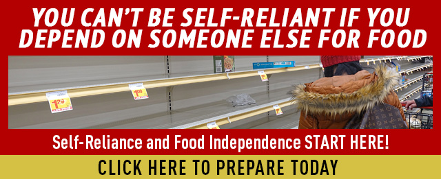 You Can’t Be Self-Reliant If You Depend On Someone Else For Food Self-Reliance and Food Independence START HERE! Click Here to Prepare Today