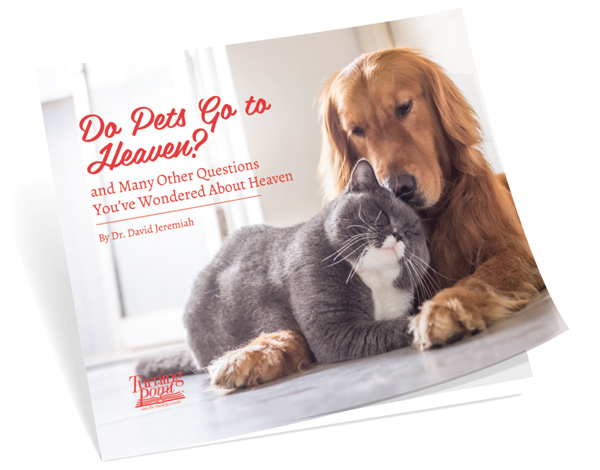 Do Pets Go to Heaven? And Many Other Questions You've Wondered About Heaven