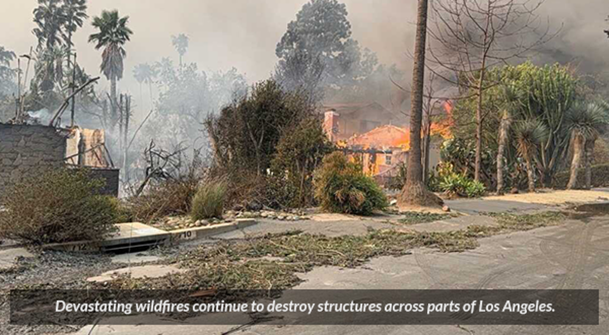 A fire consumes a home on a residential street lined with palm trees